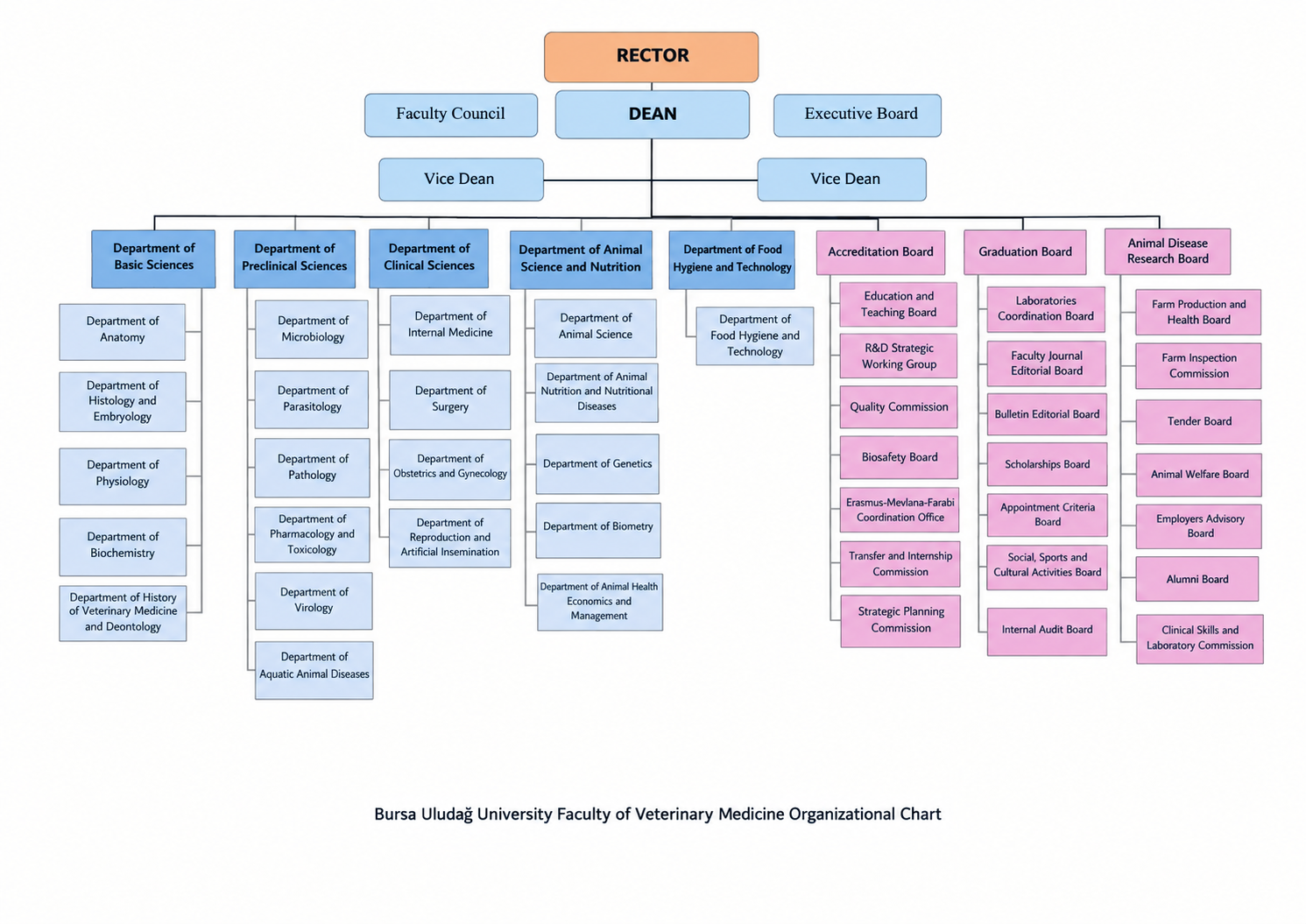 Veterinary Faculty Organization Chart